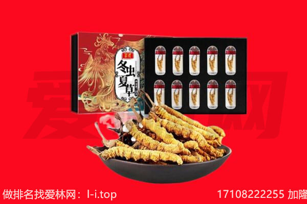 长治长子县回收虫草.jpg